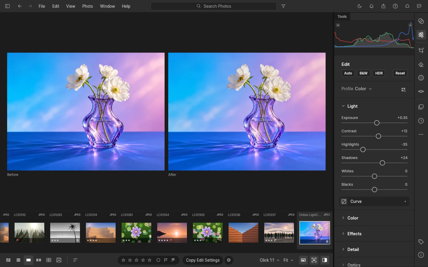 Organize & develop photos: menus, canvas and panels